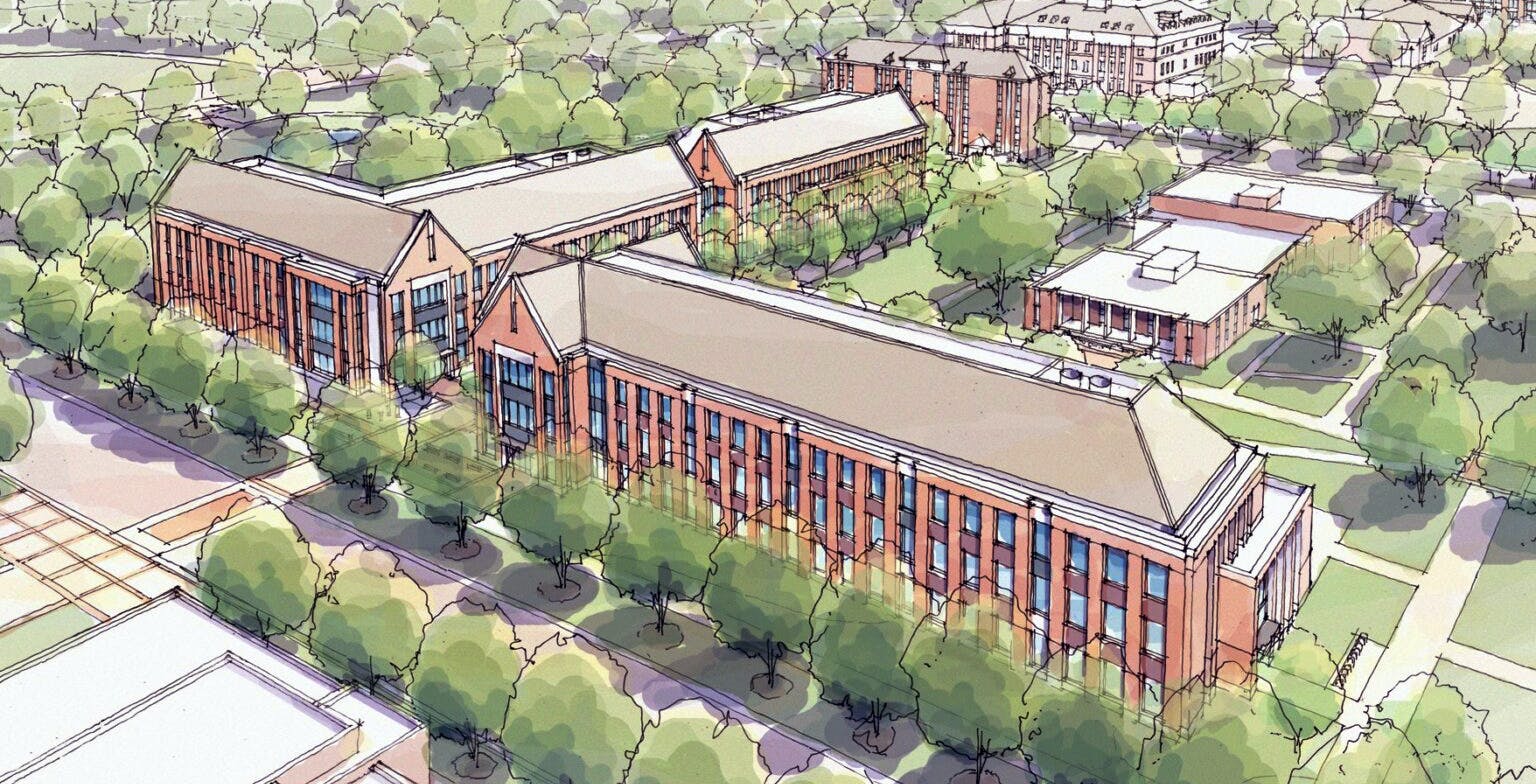 658ed2a644295c001dff5e1a Auburn Stem