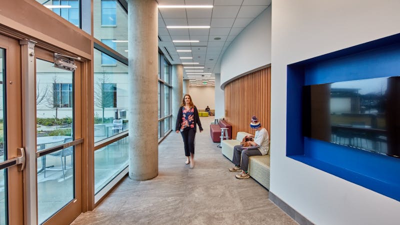 tamu_plant_pathoogy_shb_edited