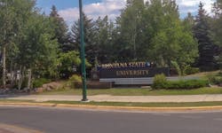montana_state_university montana_state_university