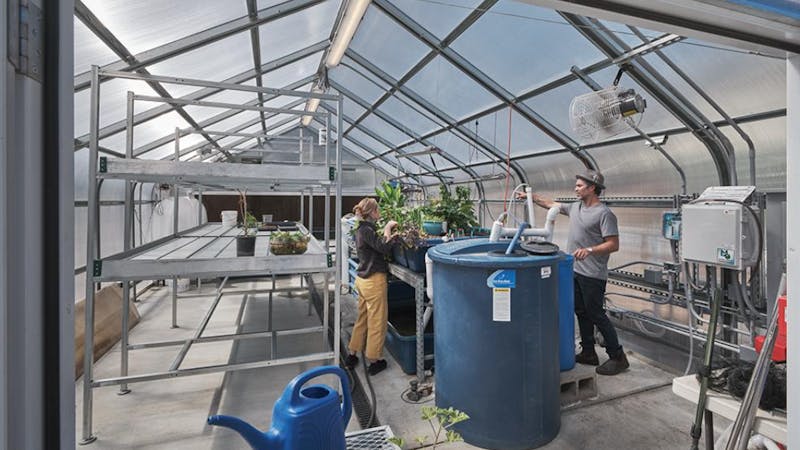 san lorenzo valley high