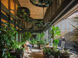 Lounge space filled with live plants within a two-story atrium with wood ceilings.