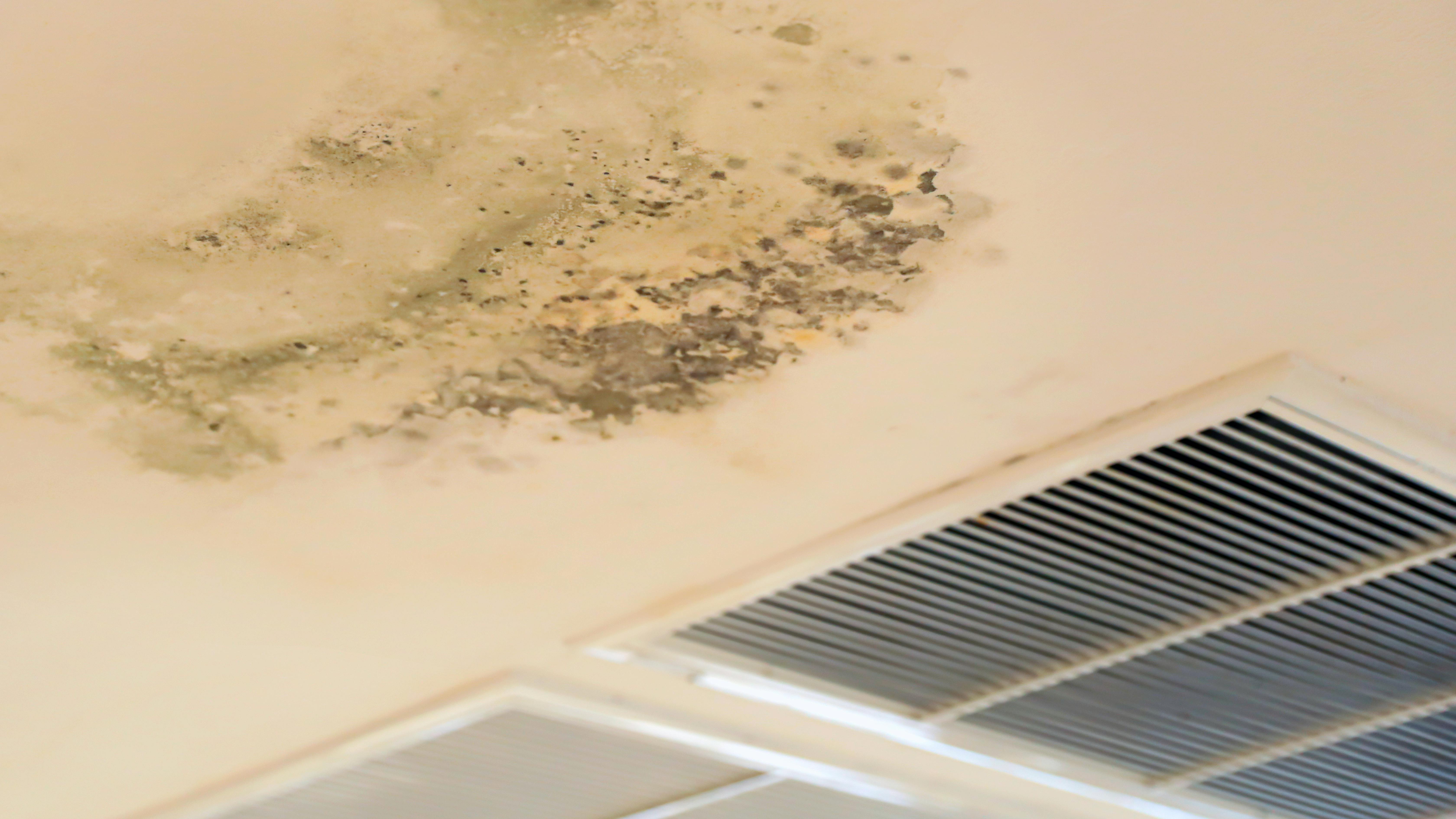 Water drop leak on air conditioner grille is ceiling stain and cracked and mold